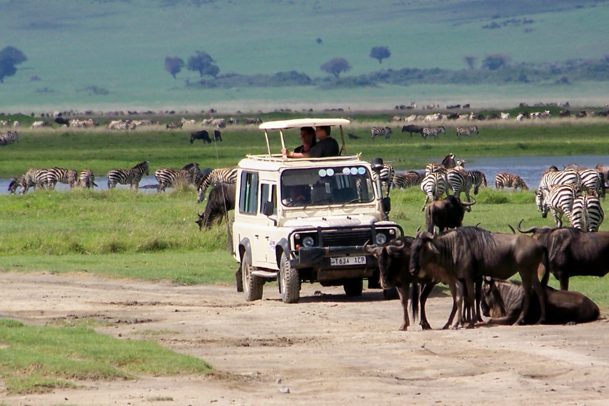 Serengeti ve Ngorongoro: 2 Gece 3 Günlük Kamp Safari